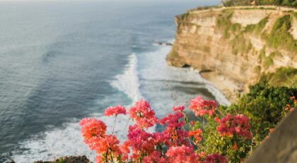 Lush greenery and vibrant delicate pink flowers on top of steep rock above wavy endless ocean under clear sky