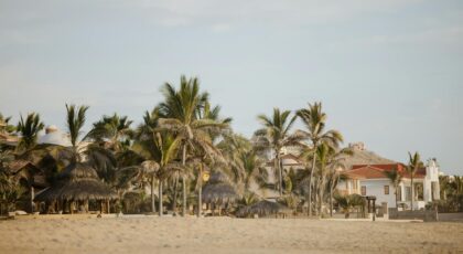 Tranquil beach scene with palm trees and villas at Casa Cyrene, Baja California Sur, Mexico.