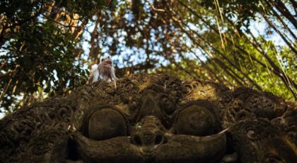 A monkey sitting on an ornate sculpture in Ubud's lush monkey forest.