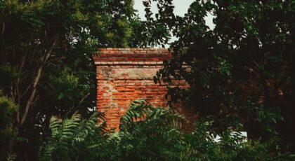 An overgrown brick wall, remnants of an abandoned structure, amidst dense foliage in Budapest, Hungary.