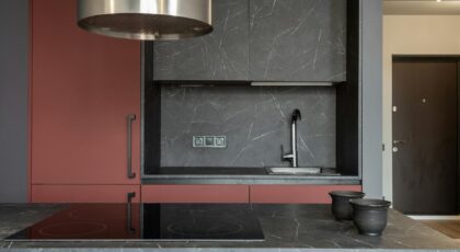 Minimalist style open space kitchen interior with built in appliances and furniture equipped with cooktop and hood in gray and brown colors