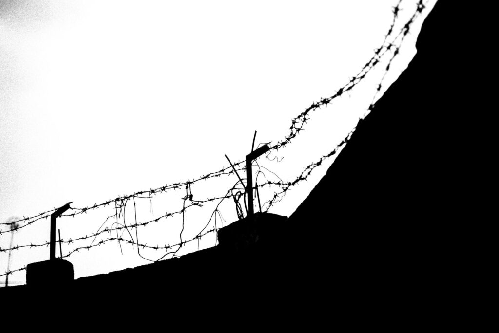 R Metal Roofing: High Strength Meets Affordability