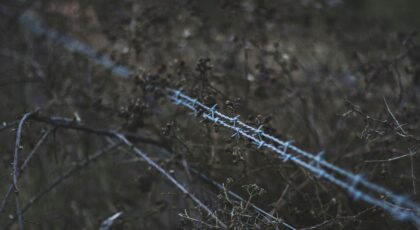 A close-up shot of a barbed wire fence cutting through an overgrown, moody field.