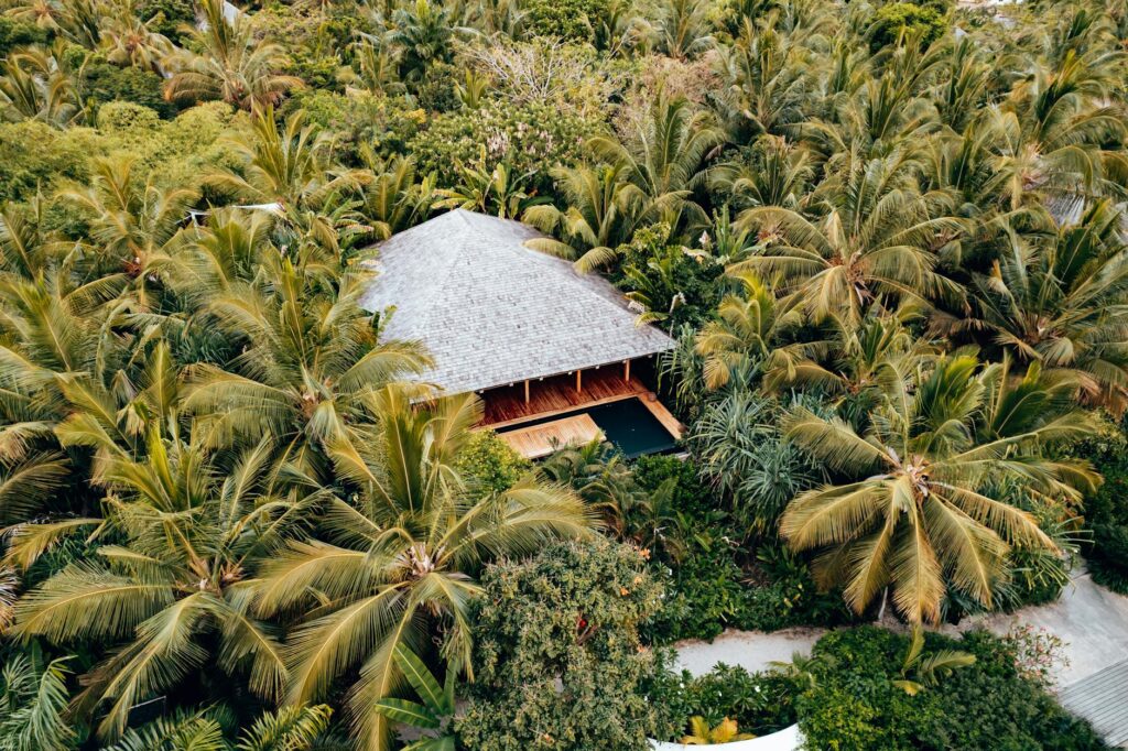Alami Villa Ubud: A Private Paradise in the Jungle
