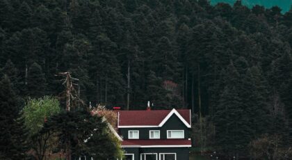 Beautiful red-roofed house by a serene lakeside surrounded by dense forest and mountains.