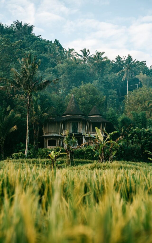 Alami Villa Ubud: Peaceful Bali Haven in the Jungle