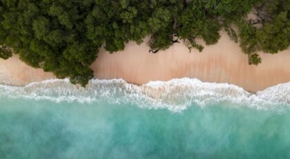 Serene aerial shot of a tropical beach in Pemenang, Indonesia, with lush greenery and turquoise waters.