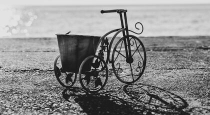 Black and white image of a vintage bicycle-shaped plant holder by the sea. Artistic and serene.