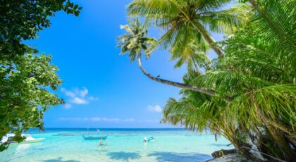 Serene tropical beach with turquoise waters and lush palm trees under a bright summer sky.