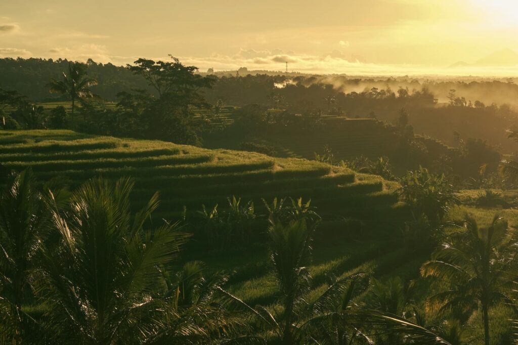 Maya Ubud Heavenly Villa: Wellness Among Nature