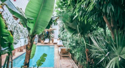 Green tropical plants with lush foliage growing around swimming pool at terrace of hotel