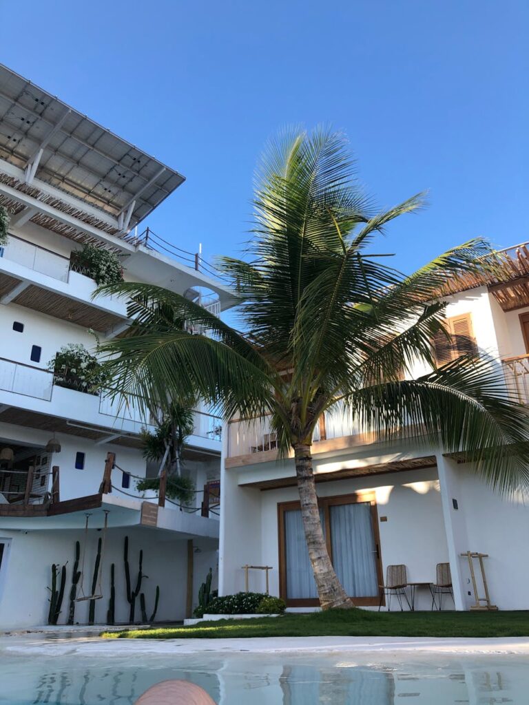 Palm House Canggu: Luxury Villas in Bali for Unforgettable Escapes