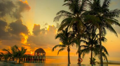 Breathtaking sunset over tropical beach with palm trees and ocean view, capturing serene beauty.