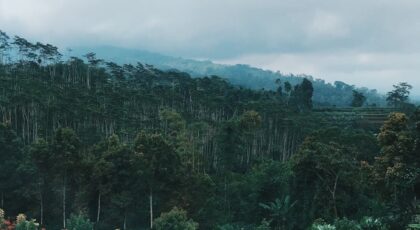 Serene view of Bali's lush tropical landscape with dense forests and distant mountains under a cloudy sky.