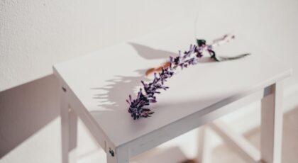 A delicate purple lavender sprig cast shadow on a white wooden table indoors.