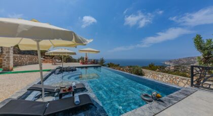 Elegant outdoor pool at a luxury villa with ocean view.