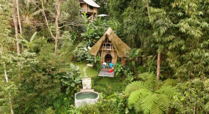 Aerial view of a bamboo hut nestled amidst lush greenery in Bali, Indonesia.