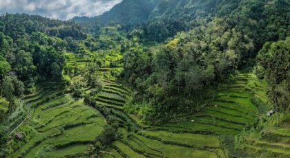 Aerial view of lush green rice terraces amidst mountains in Bali, Indonesia.